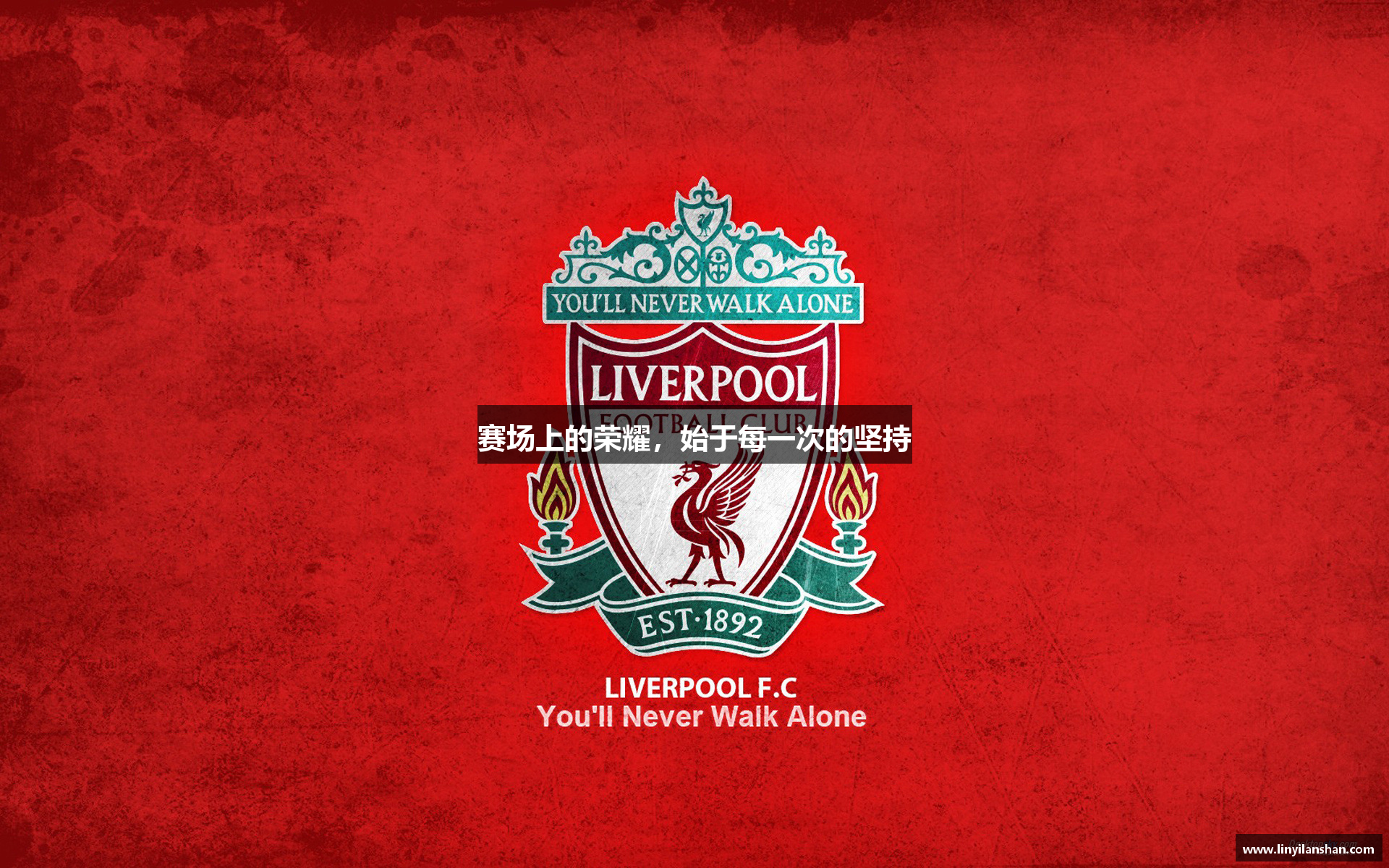 赛场上的荣耀，始于每一次的坚持